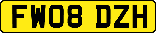 FW08DZH