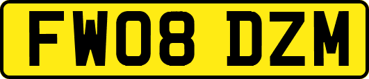 FW08DZM