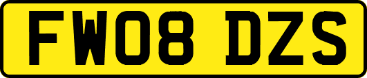 FW08DZS