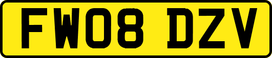 FW08DZV