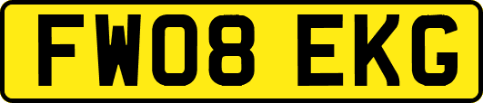 FW08EKG