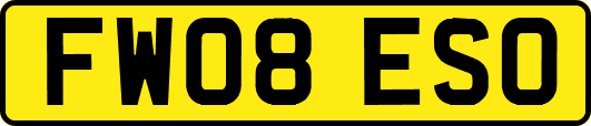 FW08ESO