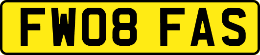FW08FAS