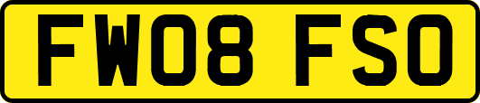 FW08FSO