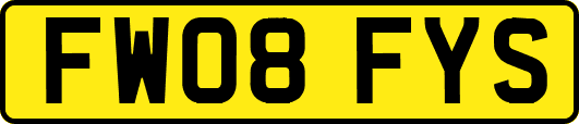 FW08FYS