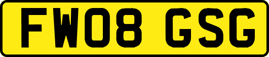FW08GSG