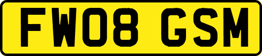 FW08GSM