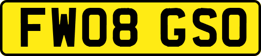 FW08GSO