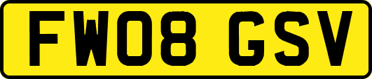 FW08GSV