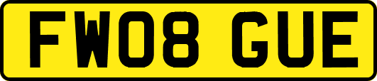 FW08GUE