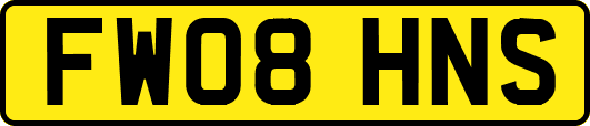FW08HNS