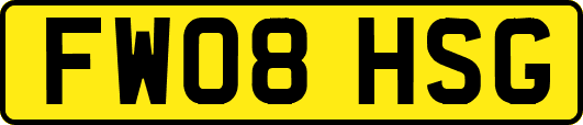 FW08HSG