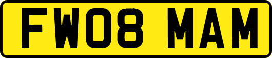 FW08MAM