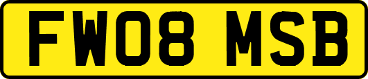 FW08MSB