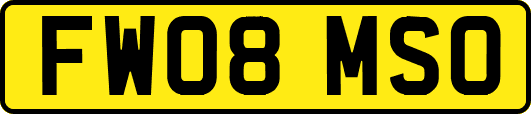 FW08MSO
