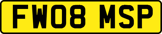 FW08MSP