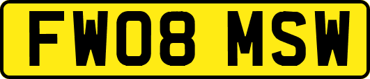 FW08MSW