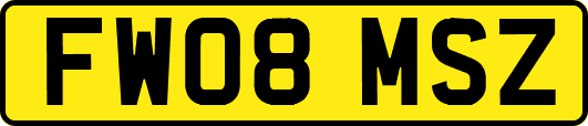 FW08MSZ