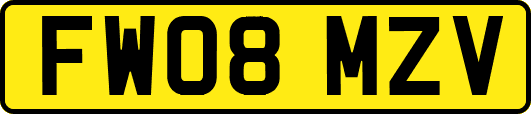 FW08MZV