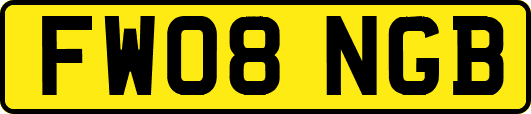 FW08NGB