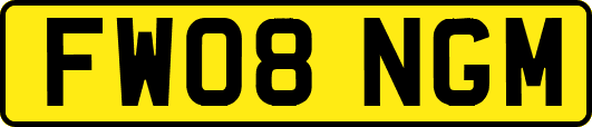 FW08NGM