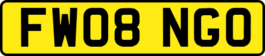 FW08NGO