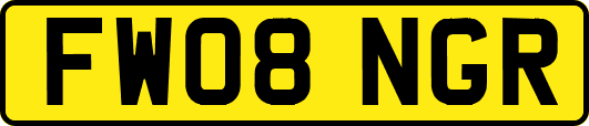FW08NGR