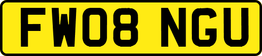 FW08NGU