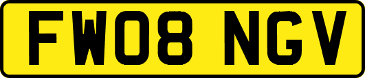 FW08NGV