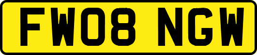 FW08NGW