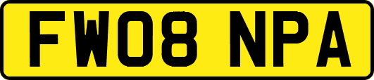 FW08NPA