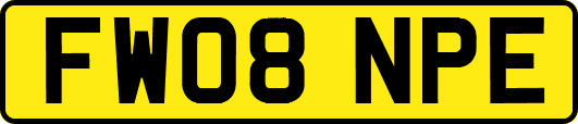 FW08NPE