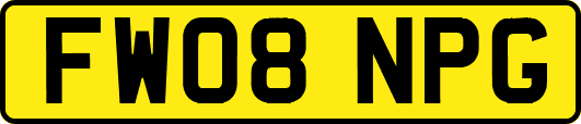 FW08NPG