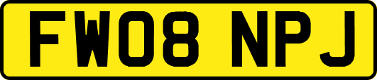FW08NPJ
