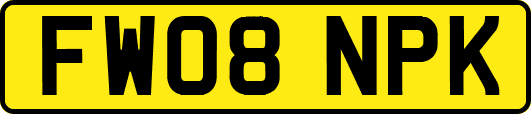 FW08NPK