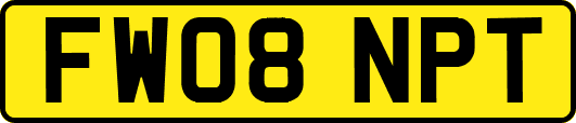 FW08NPT