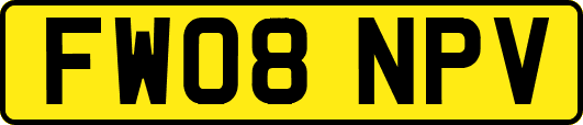FW08NPV