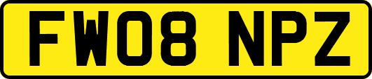 FW08NPZ