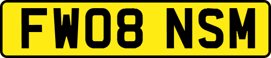 FW08NSM