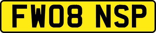 FW08NSP