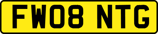 FW08NTG