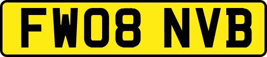 FW08NVB
