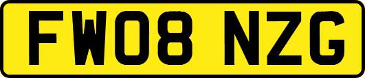 FW08NZG
