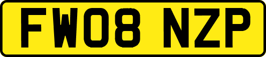 FW08NZP