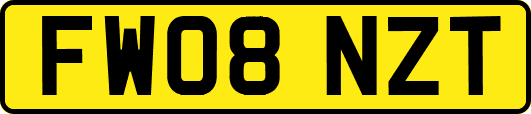 FW08NZT