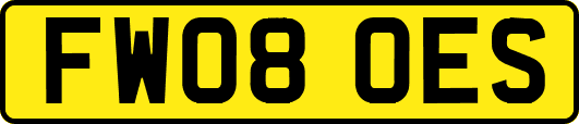 FW08OES