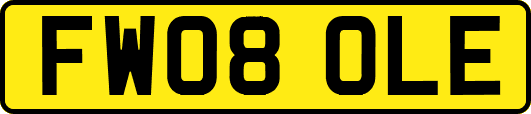 FW08OLE