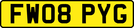 FW08PYG