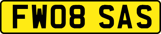FW08SAS