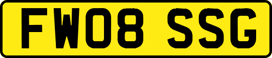 FW08SSG